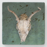 Animal Skull Stone Coaster