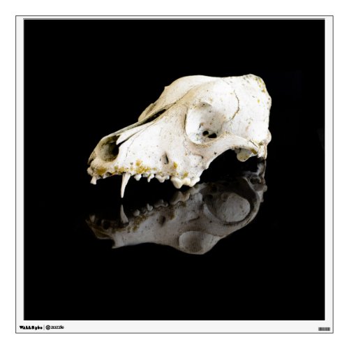 Animal skull wall decal