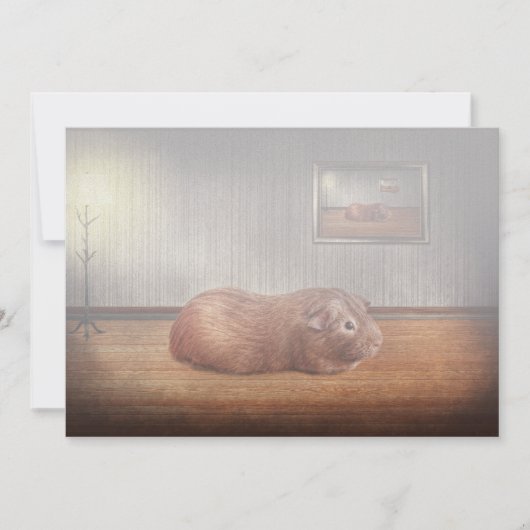 Animal - The guinea pig (Front)