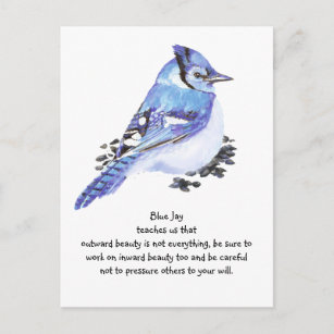 Personalized North American Blue Jays Gifts On Zazzle