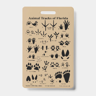 Animal Tracks of Florida Badge