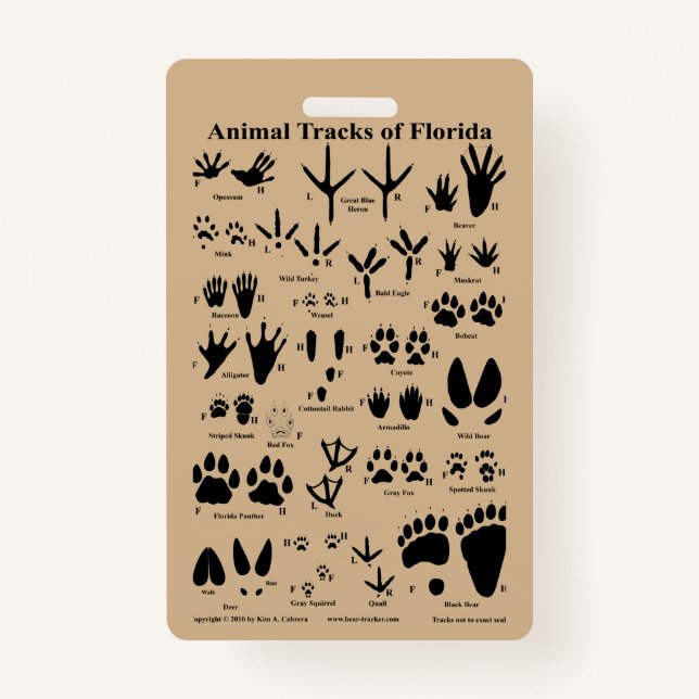 Animal Tracks of Florida Badge (Back)