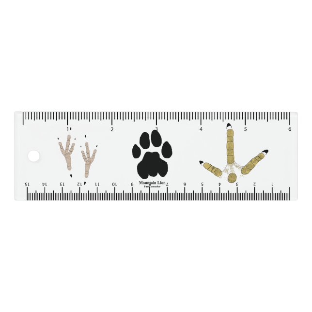 Animal Tracks Ruler (Front)