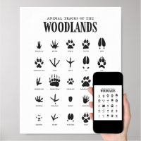 Animal Tracks Print, Woodland Animal Prints, Outdoor Adventure Kids Art,  Woodland Nursery Decor, Woodland Nursery, Woodland Art Print, Animal