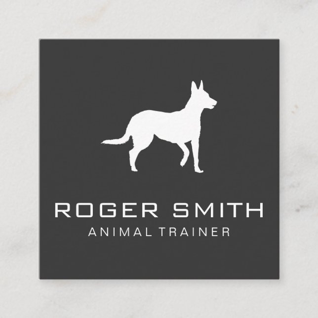 Animal Trainer (gray) Square Business Card (Front)