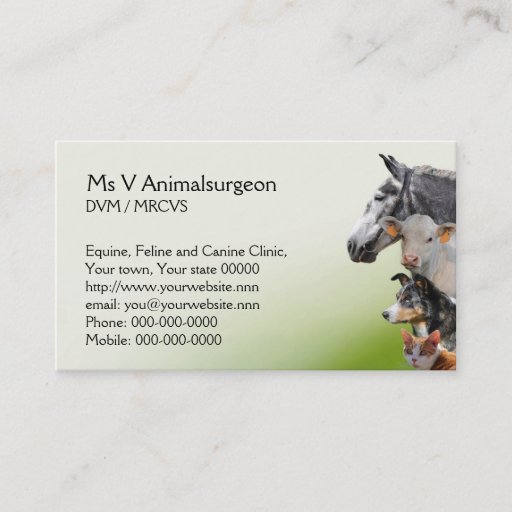 Customizable Veterinary practice appointment and business card