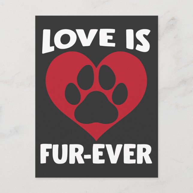 Animal Welfare Shelter Love Cat Paw Dog Lover Postcard (Front)