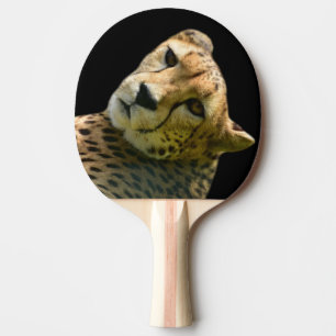 Animal wild cheetah jungle zoo photo Ping-Pong paddle