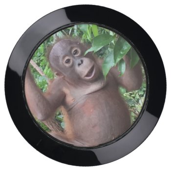 Animal Wildlife Orangutan For Electronics Usb Charging Station by Rebecca_Reeder at Zazzle