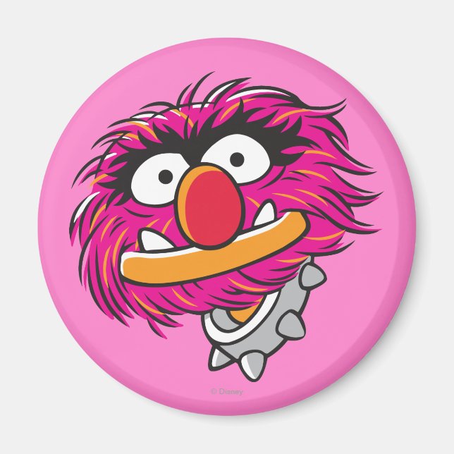 Animal With Collar Magnet (Front)