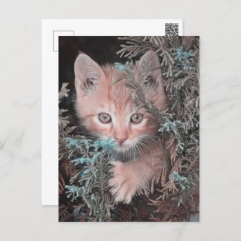 Animalart Adorable Kitten Holiday Postcard by MehrFarbeImLeben at Zazzle