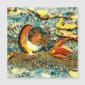 AnimalArt_GuineaPig_001 (Front)