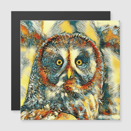 AnimalArt_Owl_003 (Front/Back)