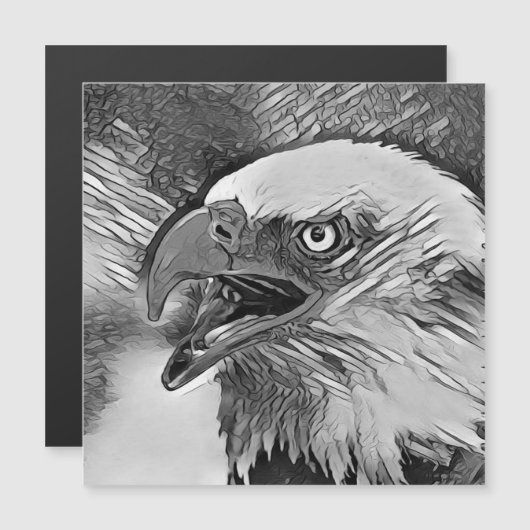 AnimalArtBW_Bird_002 (Front/Back)