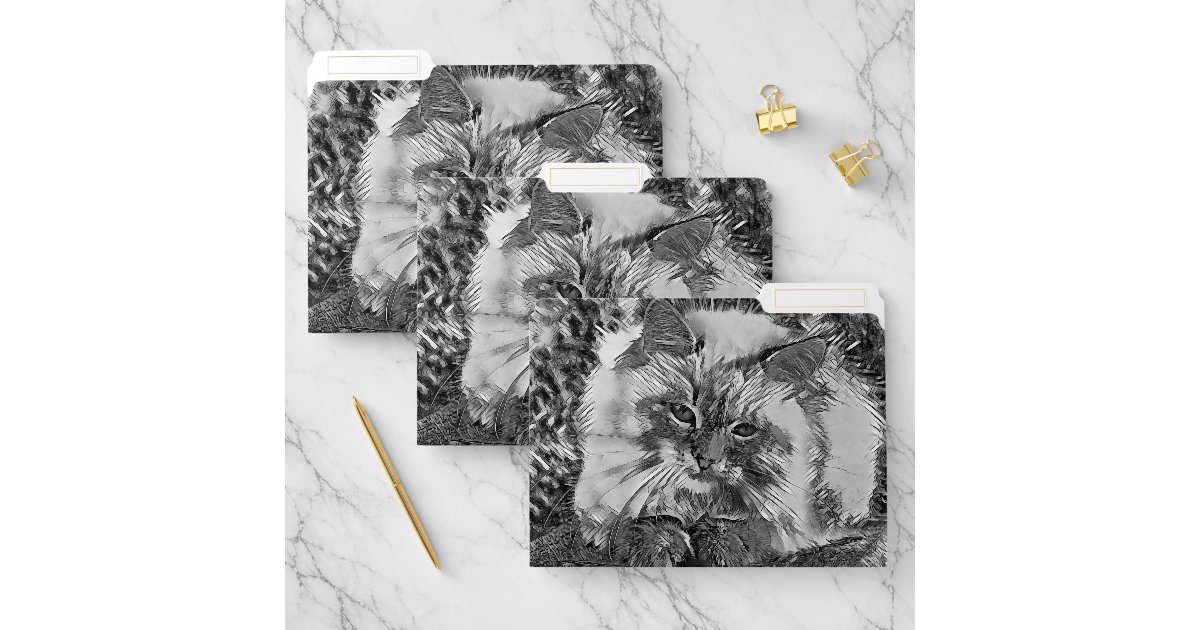 File Folder Cat AnimalArtBW_Cat_07 File Folder | Zazzle