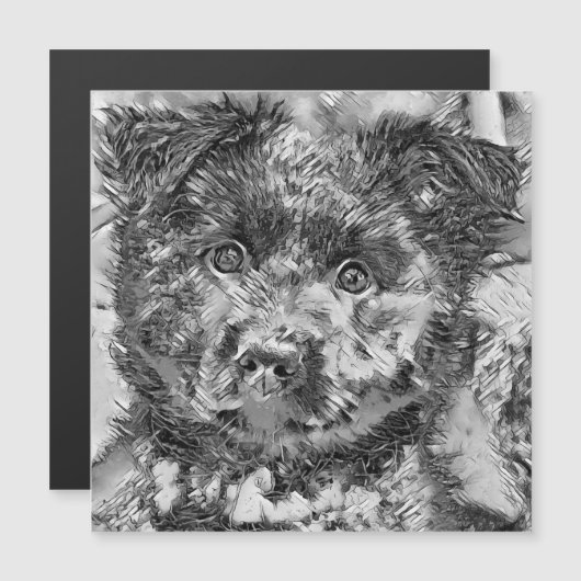 AnimalArtBW_Dog_005 (Front/Back)