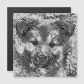 AnimalArtBW_Dog_008 (Front/Back)