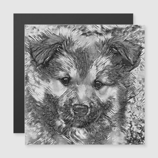 AnimalArtBW_Dog_008 (Front/Back)