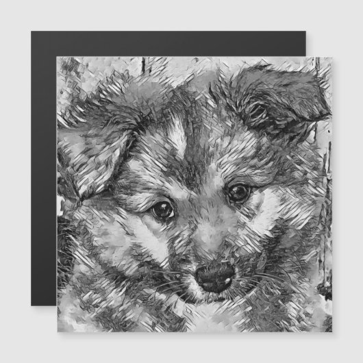 AnimalArtBW_Dog_010 (Front/Back)
