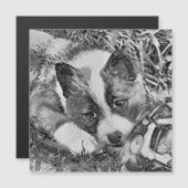 AnimalArtBW_Dog_012 (Front/Back)