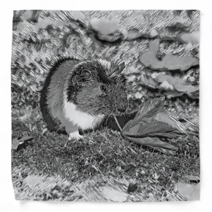 AnimalArtBW_GuineaPig_001 Bandana