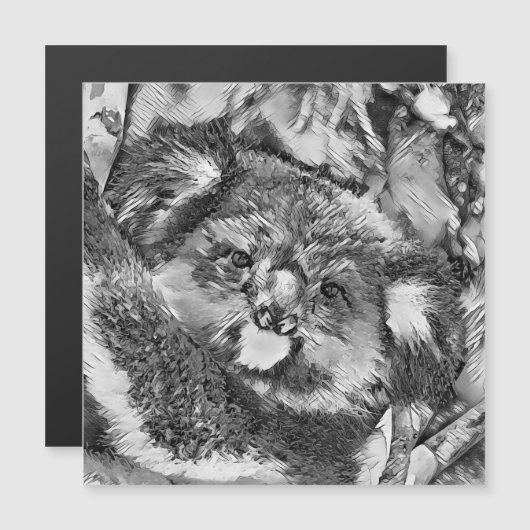 AnimalArtBW_Koala_001 (Front/Back)