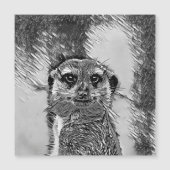 AnimalArtBW_Meerkat_002 (Front)