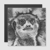 AnimalArtBW_Meerkat_008 (Front/Back)