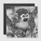 AnimalArtBW_Monkey_002 (Front/Back)