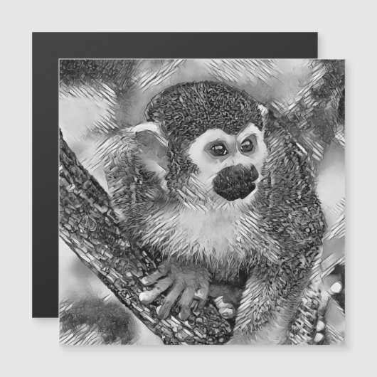 AnimalArtBW_Monkey_002 (Front/Back)