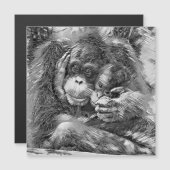 AnimalArtBW_OrangUtan_001 (Front/Back)