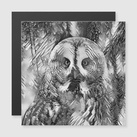 AnimalArtBW_Owl_001 (Front/Back)