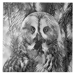 AnimalArtBW_Owl_001 Ceramic Tile