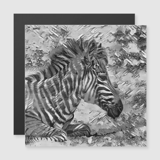 AnimalArtBW_Zebra_001 (Front/Back)