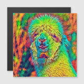 AnimalColor_Alpaca_005 (Front/Back)