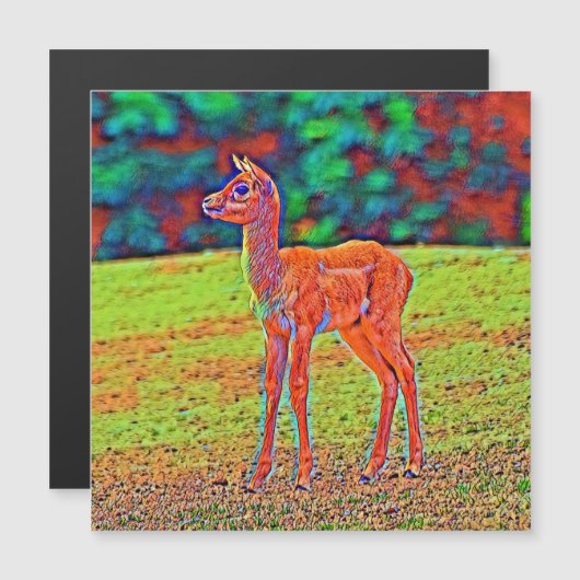 AnimalColor_Antilope_001 (Front/Back)