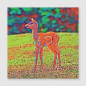 AnimalColor_Antilope_001 (Front)
