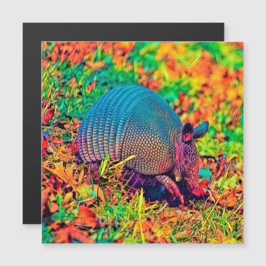 AnimalColor_Armadillo_001 (Front/Back)