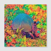 AnimalColor_Armadillo_001 (Front)