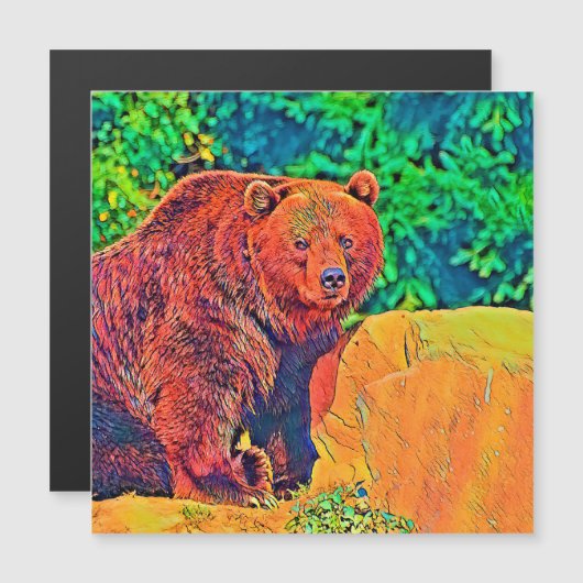 AnimalColor_Bear_001 (Front/Back)