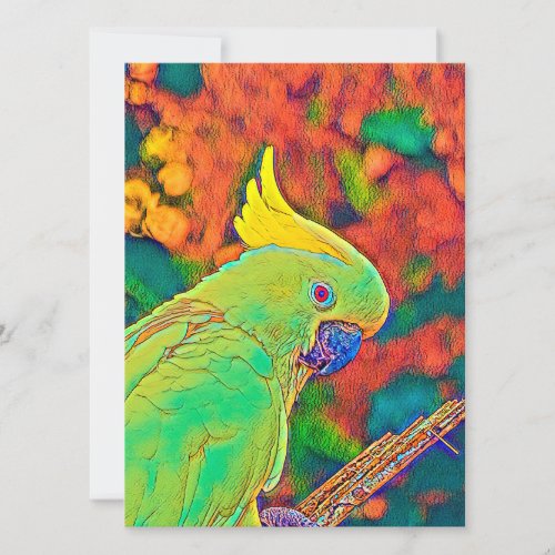AnimalColor_Bird_003 Holiday Card