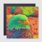 AnimalColor_Bird_008 (Front/Back)