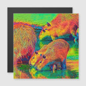 AnimalColor_Capybara_004 (Front/Back)
