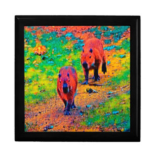 AnimalColor_Capybara_009 Gift Box