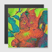AnimalColor_Cat_005 (Front/Back)