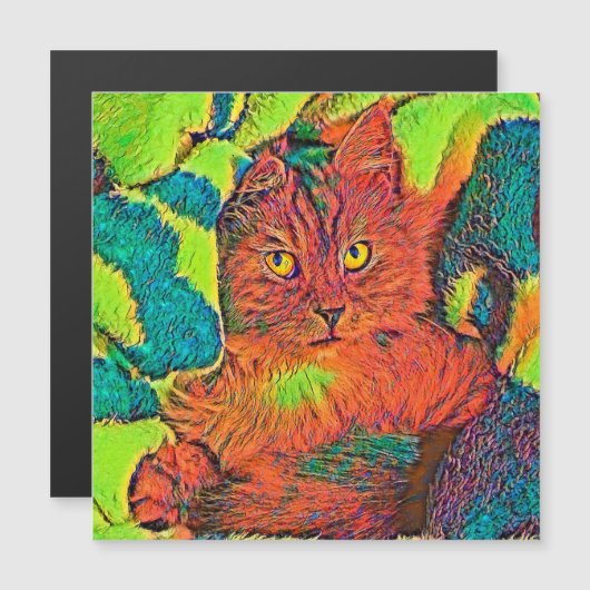 AnimalColor_Cat_005 (Front/Back)