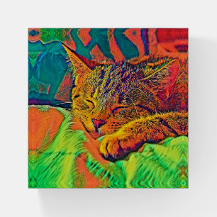 AnimalColor_Cat_07 Paperweight
