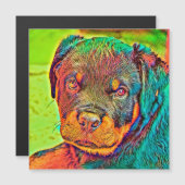 AnimalColor_Dog_003 (Front/Back)