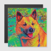 AnimalColor_Dog_014 (Front/Back)