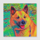 AnimalColor_Dog_014 (Front)